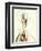 Purer No. 15-Campbell Laird-Framed Premium Giclee Print