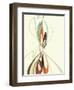 Purer No. 15-Campbell Laird-Framed Giclee Print