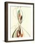 Purer No. 15-Campbell Laird-Framed Giclee Print