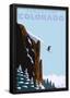 Essential Black
