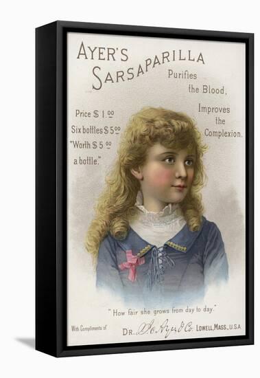 Purifies the Blood, Improves the Complexion, Ayer's Sarsaparilla-null-Framed Stretched Canvas