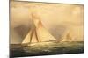 Puritan and Priscilla off Sandy Hook-James Edward Buttersworth-Mounted Art Print