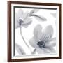 Purity I – Detail-Sandra Jacobs-Framed Giclee Print