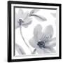 Purity I – Detail-Sandra Jacobs-Framed Giclee Print