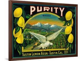 Purity Lemon Label - Tustin, CA-Lantern Press-Framed Art Print