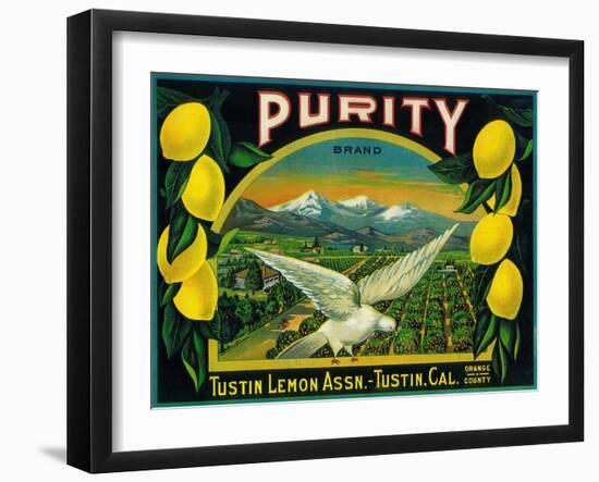 Purity Lemon Label - Tustin, CA-Lantern Press-Framed Art Print