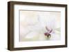 Purity-Jacky Parker-Framed Photographic Print