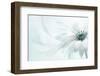 Purity-Jacky Parker-Framed Photographic Print