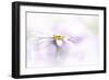 Purity-Jacky Parker-Framed Giclee Print