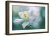 Purity-Jacky Parker-Framed Giclee Print