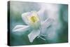 Purity-Jacky Parker-Stretched Canvas