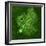 Purkinje Nerve Cell, Light Micrograph-Thomas Deerinck-Framed Premium Photographic Print