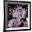 Purp Flowers-Jace Grey-Framed Art Print