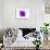 Purple Abstract Brush Splash Flower-Irena Orlov-Premium Giclee Print displayed on a wall