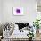 Purple Abstract Brush Splash Flower-Irena Orlov-Mounted Premium Giclee Print displayed on a wall