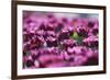 Purple Abstract-Incredi-Framed Giclee Print