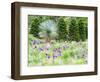 Purple allium and other flowers blooming in a spring garden.-Julie Eggers-Framed Photographic Print