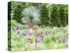 Purple allium and other flowers blooming in a spring garden.-Julie Eggers-Stretched Canvas