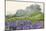 Purple and blue lupine flowers and tree in fog, Bald Hills Road, California-Adam Jones-Mounted Photographic Print