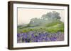 Purple and blue lupine flowers and tree in fog, Bald Hills Road, California-Adam Jones-Framed Photographic Print