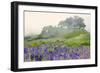 Purple and blue lupine flowers and tree in fog, Bald Hills Road, California-Adam Jones-Framed Photographic Print