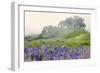 Purple and blue lupine flowers and tree in fog, Bald Hills Road, California-Adam Jones-Framed Photographic Print