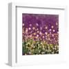 Purple and Gold field-Claire Westwood-Framed Premium Giclee Print