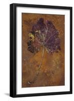 Purple and Green-Den Reader-Framed Photographic Print