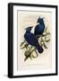 Black Frame