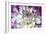 Purple and White Dahlia-George Johnson-Framed Photographic Print