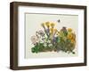 Purple and White Violets, Daisy, Celandine and Forget-Me-Not-Ursula Hodgson-Framed Giclee Print