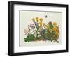 Purple and White Violets, Daisy, Celandine and Forget-Me-Not-Ursula Hodgson-Framed Giclee Print