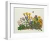 Purple and White Violets, Daisy, Celandine and Forget-Me-Not-Ursula Hodgson-Framed Giclee Print