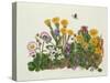 Purple and White Violets, Daisy, Celandine and Forget-Me-Not-Ursula Hodgson-Stretched Canvas