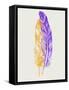 Purple and Yellow Feathers III-Hallie Clausen-Framed Stretched Canvas