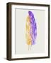 Purple and Yellow Feathers III-Hallie Clausen-Framed Art Print