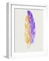 Purple and Yellow Feathers III-Hallie Clausen-Framed Art Print