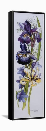 Purple and Yellow Irises with White and Mauve Campanulas,2013-Joan Thewsey-Framed Stretched Canvas