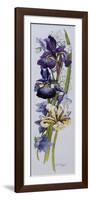 Purple and Yellow Irises with White and Mauve Campanulas,2013-Joan Thewsey-Framed Giclee Print