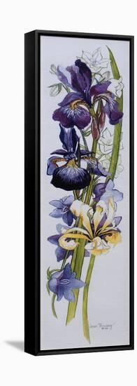 Purple and Yellow Irises with White and Mauve Campanulas,2013-Joan Thewsey-Framed Stretched Canvas