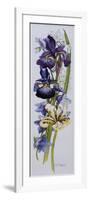 Purple and Yellow Irises with White and Mauve Campanulas,2013-Joan Thewsey-Framed Giclee Print