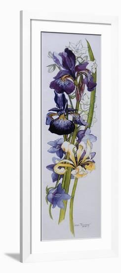 Purple and Yellow Irises with White and Mauve Campanulas,2013-Joan Thewsey-Framed Giclee Print