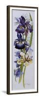 Purple and Yellow Irises with White and Mauve Campanulas,2013-Joan Thewsey-Framed Giclee Print