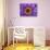 Purple and Yellow Lotus Flower, Bangkok, Thailand-Merrill Images-Stretched Canvas displayed on a wall