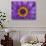 Purple and Yellow Lotus Flower, Bangkok, Thailand-Merrill Images-Photographic Print displayed on a wall