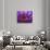 Purple and Yellow Lotus Flower, Bangkok, Thailand-Merrill Images-Stretched Canvas displayed on a wall