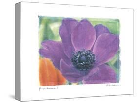 Purple Anemone I-Amy Melious-Stretched Canvas