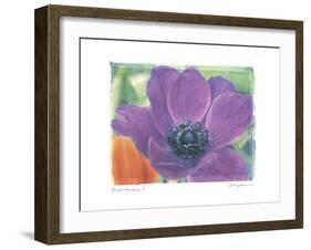 Purple Anemone I-Amy Melious-Framed Art Print