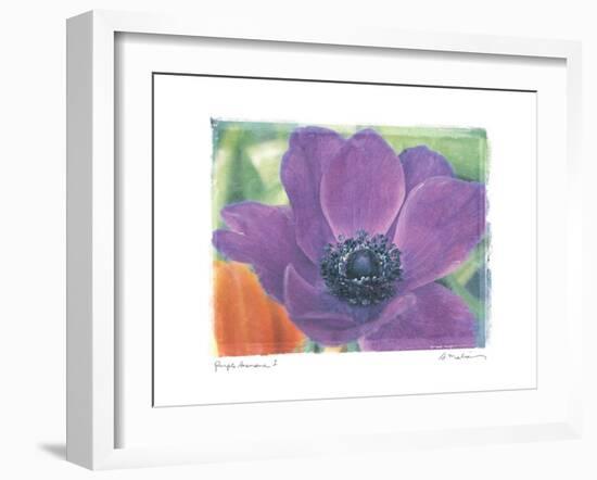 Purple Anemone I-Amy Melious-Framed Art Print