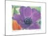 Purple Anemone I-Amy Melious-Mounted Art Print